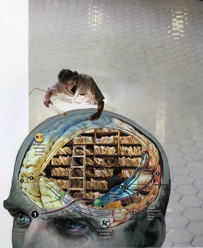 Collage of a man climbing on top of an illustrated brain filled with filing shelves and a ladder