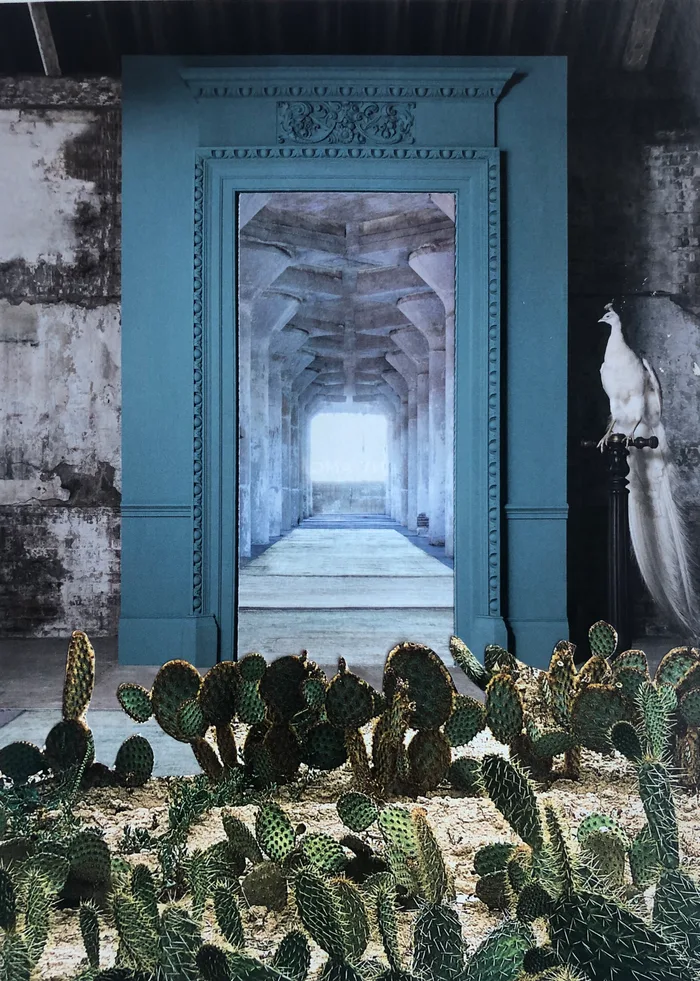 Collage of an ornate blue doorway opening onto a long, light-filled corridor, with cactus plants in front and a white peacock beside it