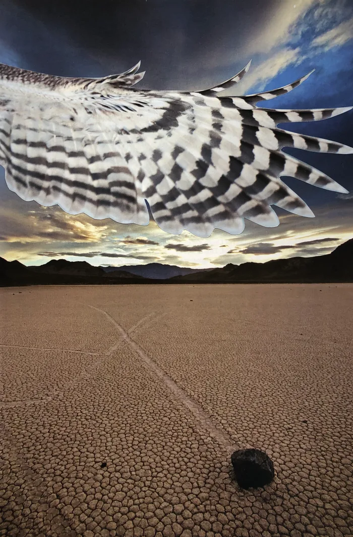 Collage of a striped feather wing across a stormy sky above a cracked dry lakebed with a lone rock and its trail