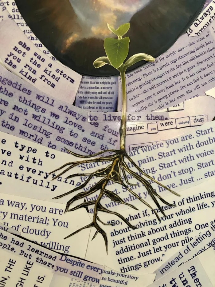 Collage of a seedling with long roots growing over cut-out lines of printed text